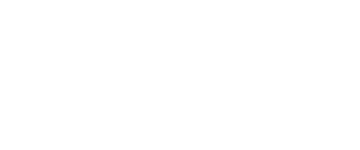 Mister Commodore