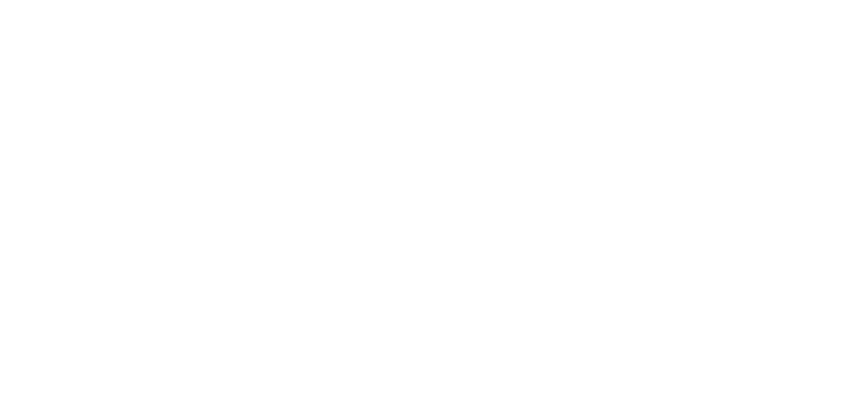 Mister Commodore